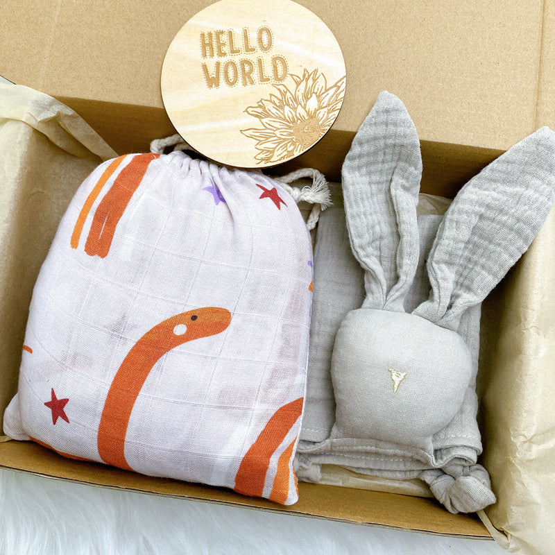 Ecolittle Hello World Newborn Gift Set