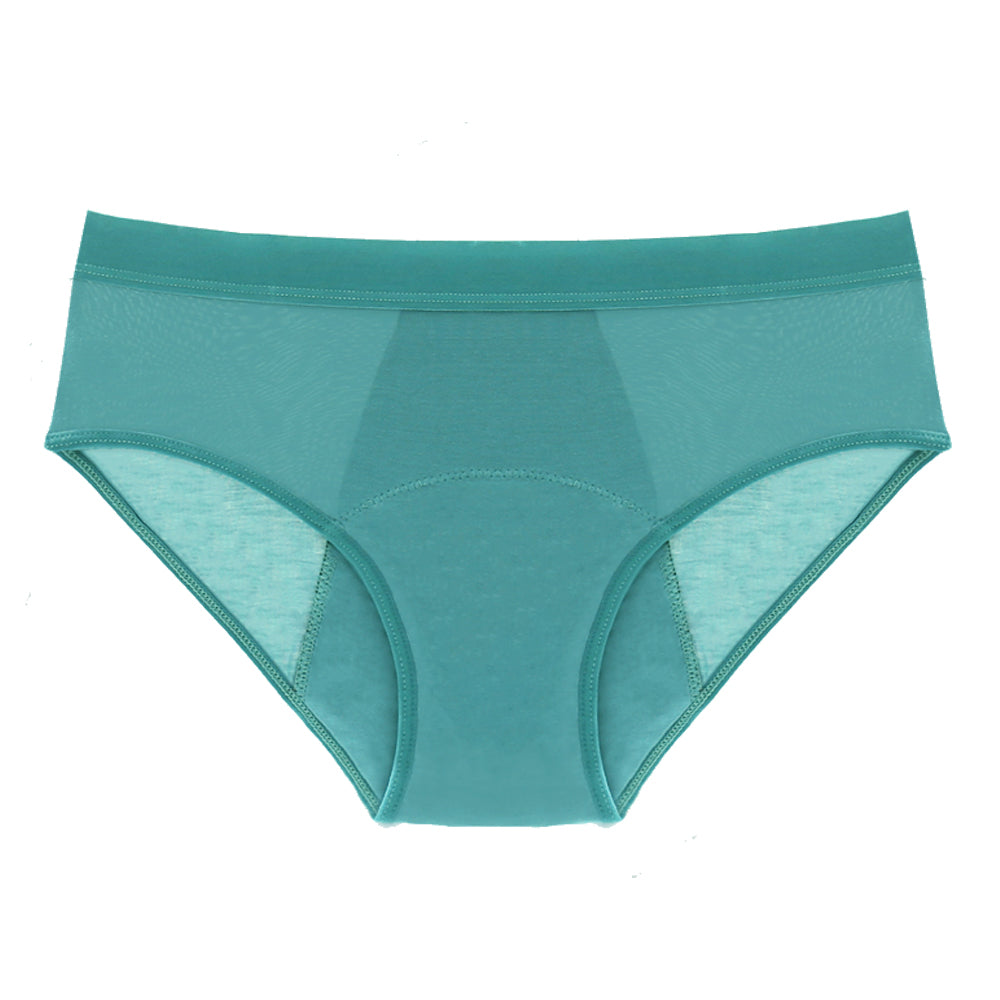EcoWear Bamboo Leakproof Period Briefs – 5-Pack Multi-Color