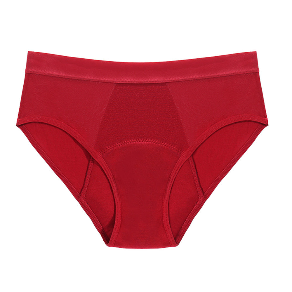EcoWear Bamboo Leakproof Period Briefs – 5-Pack Multi-Color