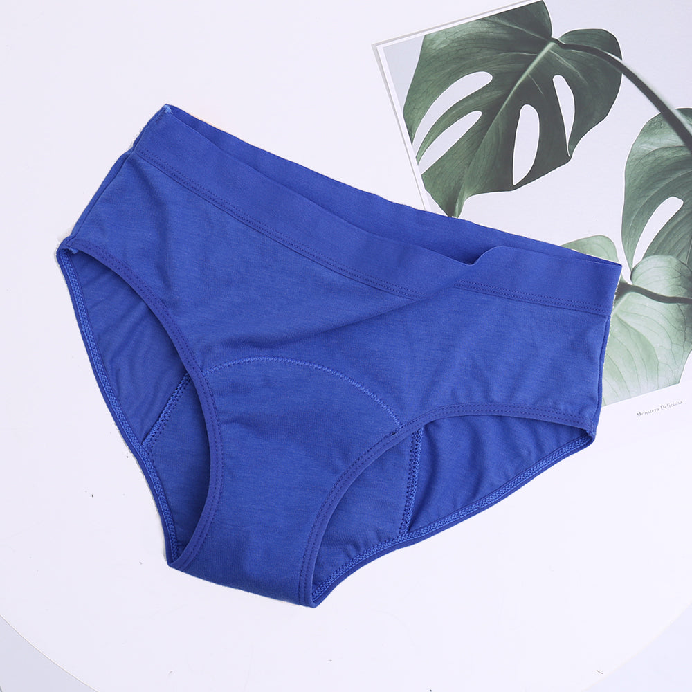 EcoWear Bamboo Leakproof Period Briefs – 5-Pack Multi-Color