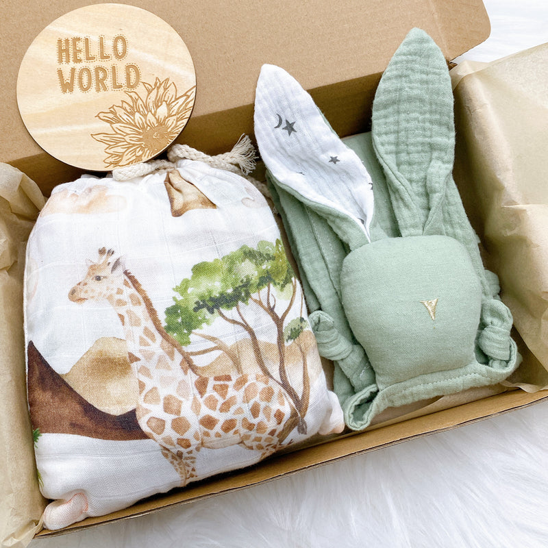 Ecolittle Hello World Newborn Gift Set